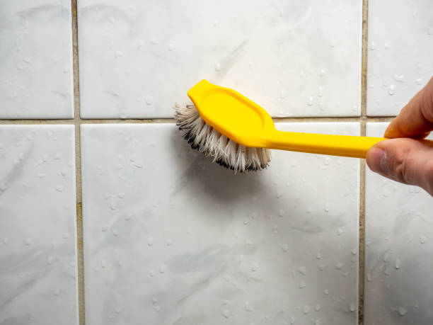 Best Residential Mold Removal  in Boston Heights, OH