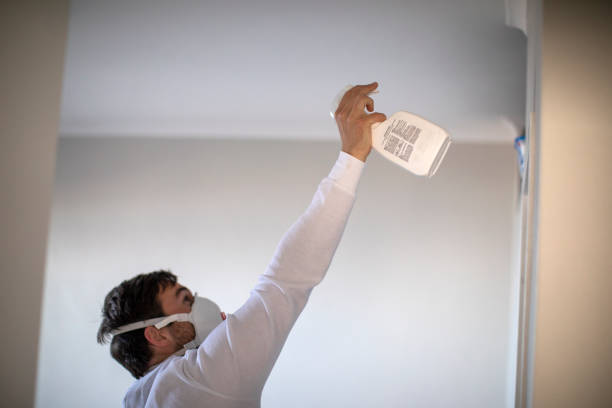 Best Mold Damage Repair  in Boston Heights, OH