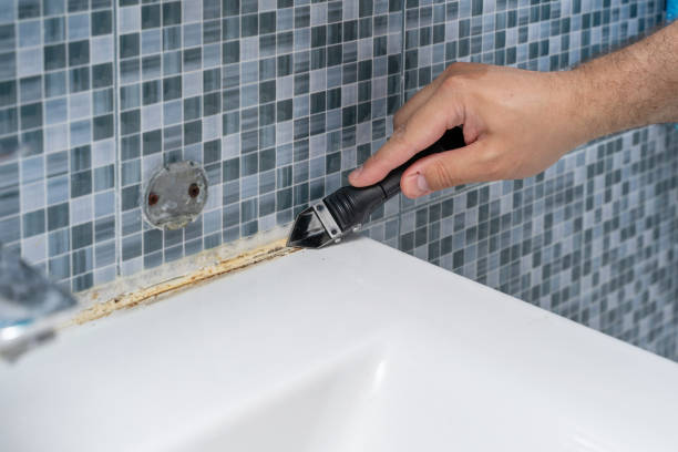 Best Mold Remediation Experts  in Boston Heights, OH