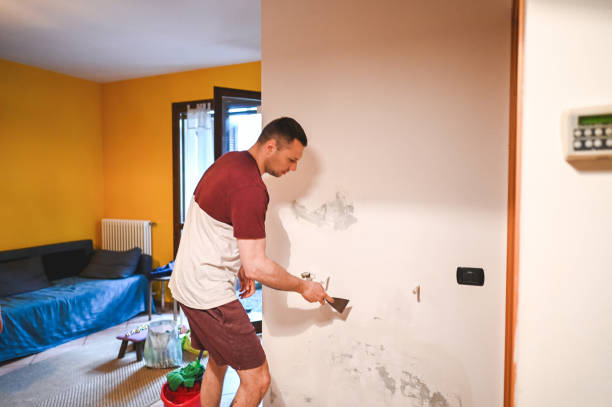 Best Mold Cleaning Services  in Boston Heights, OH